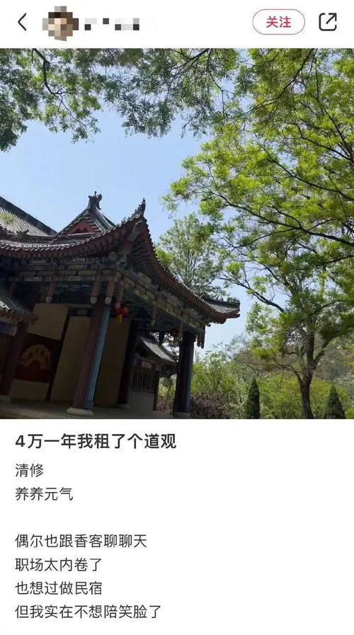 是真是假 女生花4万一年租道观躲职场内卷 景区回应