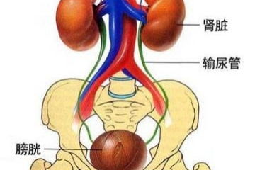 胆囊切除后三年了,为什么老是疼,去医院 