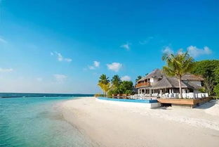 马尔代夫五星岛跟团游介绍及最佳旅游时间（马尔代夫四星岛屿排名）