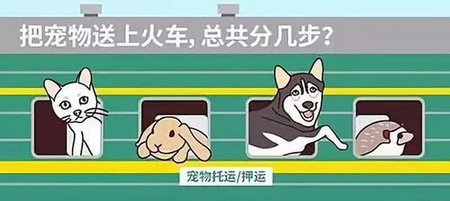 狗狗能坐火车回家吗 小狗可以,但不建议路途长的主人这样做