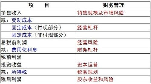 现金流量表的分析毕业论文