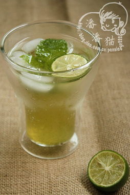 薄荷青柠檬水的做法 薄荷青柠檬水怎么做 薄荷青柠檬水的家常做法 潘潘猫 