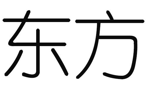 2019猪年东方姓男宝宝取名