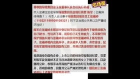 幽浮2 5 第一个反抗军联络点