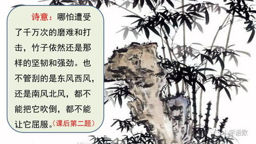 古代沼泽词语解释大全图_纵踩淤泥什么意思？