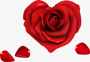 爱心红玫瑰花素材图片免费下载 高清装饰图案png 千库网 图片编号2947326 