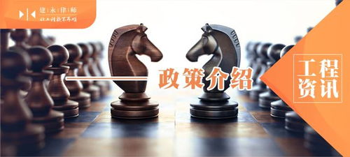 招标人提供的支付担保金额是什么?