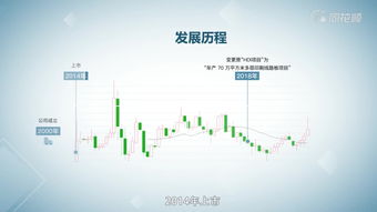 广东依顿电子科技股份有限公司2023年半年度业绩简报