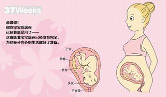 羊水 信息阅读欣赏 信息村 K0w0m Com