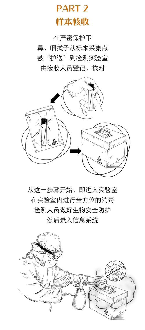 别催啦,您的核酸检测得走完这些流程