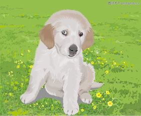 动物插图0215 动物插图图 动物图库 小狗 