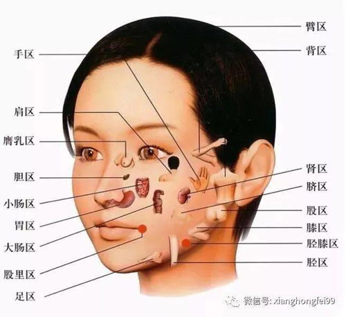 面诊绝招,你学会了没