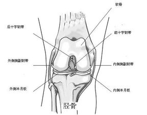 我太 楠 了 周琦灾难性失误,竟是因为内侧副韧带损伤的影响