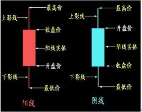 股票如何玩？注意什么？