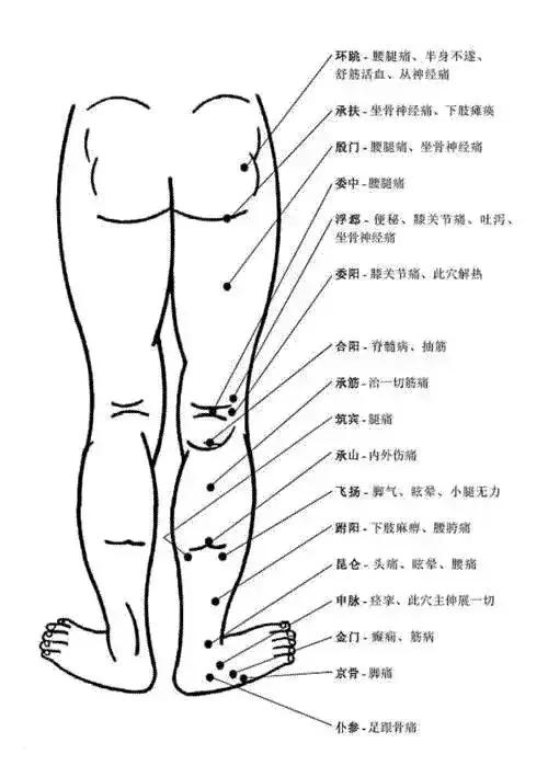 脚部位名称图解 搜狗图片搜索