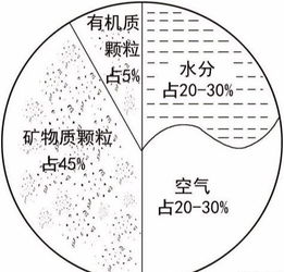 土壤三项，哪三项，比例是什么