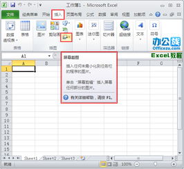 Excel2010中怎么屏幕截图并将截图复制粘贴到相应位置 