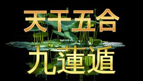 蔡添逸八字批命教学分享1084堂 教你八字命盘如何排大运简单易懂