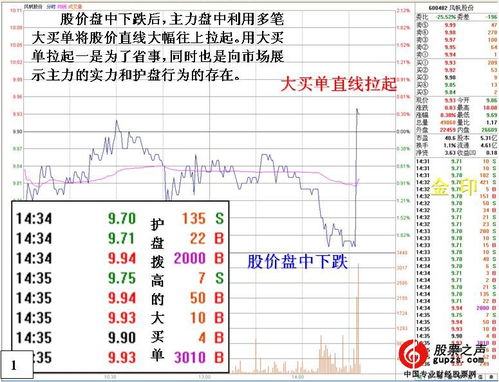 股票入门基础知识图书