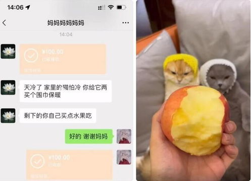 这是什么克苏鲁美食 网络上的那些沙雕图