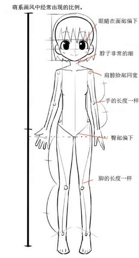 动漫人体比例怎么画更好看