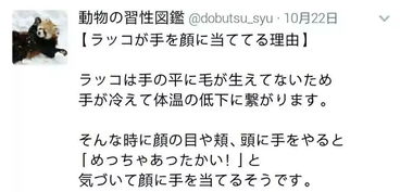 动物世界真奇妙丨日本博主趣味冷知识分享,忍不住笑出猪声...