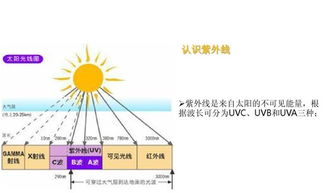 皮肤生理学基础知识