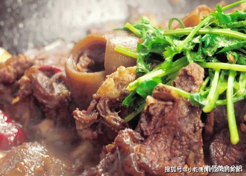 冬日里,在家烹饪一锅红焖羊肉,鲜嫩味美又多汁,老少皆宜的美食