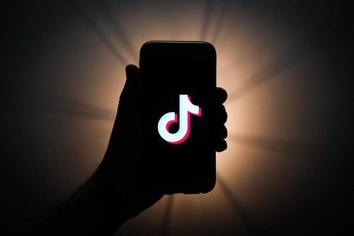 在Instagram上如何迅速获得更多的粉丝_TikTok短影音行銷