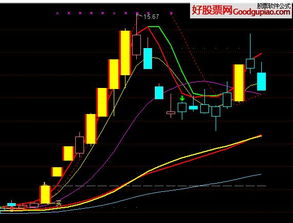 通达信交易软件右上角股票代码前的“L”是什么意思？比如如图所示：600068葛洲坝 他前面的红色L字母是代表什么？