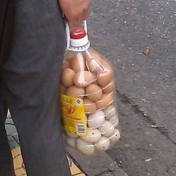 为什么要用食用油桶装鸡蛋 