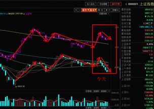 2013年该买什么股票？矛盾中