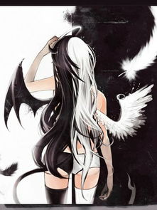 谁给我找找好看的唯美的天使与恶魔带翅膀的图片 