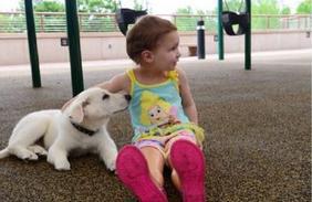当戴义肢的小女孩遇到身体残缺的狗狗,奇妙的事情发生了