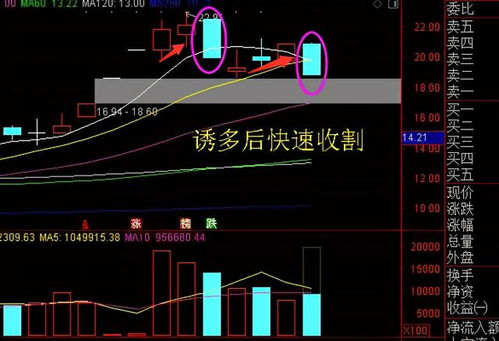 中国股市中的上市公司每年有几家发放股利？不发放股利股票还有什么价值？岂不是现在股市全是投机？