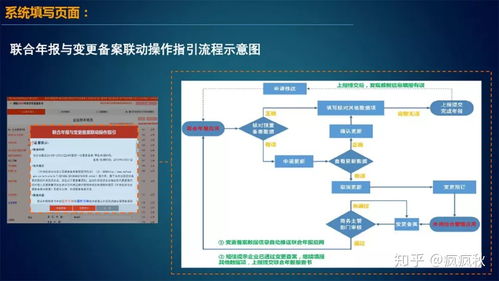 如何完成外商投资企业联合年报申请 