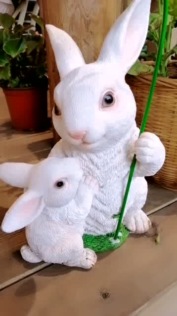 好可爱的小白兔 