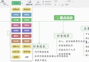 财务调查重点逻辑思维导图怎样绘制 分享财务调查重点逻辑思维导图模板