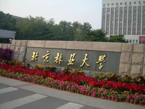 北京林业大学怎么样，北京林业大学怎么样啊