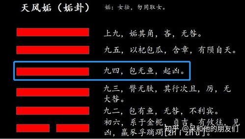 第44卦 解读 易经 ,学会主宰感情 天风姤 姤卦 