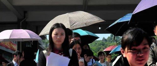 城里待不下,农村回不去 ,当代三无大学生的现状,辛酸且真实