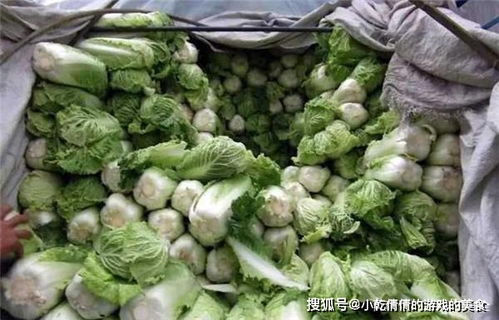 这白菜买两颗就要88元,还没上市就被抢完,啥白菜比猪肉还贵