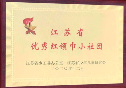 喜报 我校 风雅笛韵 陶笛社团被表彰为 江苏省优秀红领巾小社团