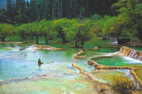 主播带你游九寨 九寨归来不看水 送你这片五彩斑斓 成都九寨沟双飞六日游