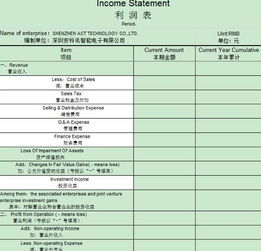 在那儿可以查外文会计报表