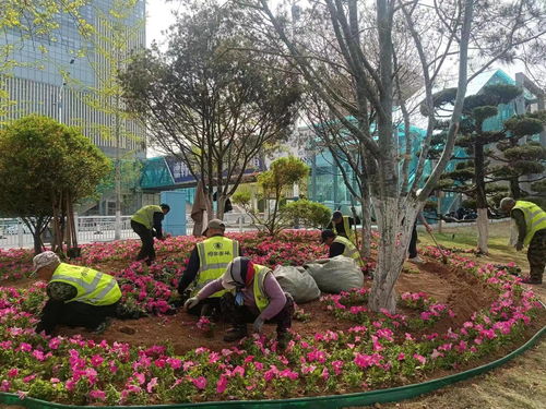 五一去内蒙古草原合适吗