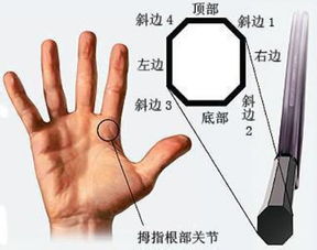 技术 正手究竟应该怎么握拍 