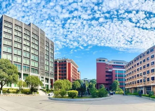 广州华立学院录取分数线(广东工业大学华立学院是几本)