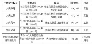 划拨地可以置入上市公司吗？