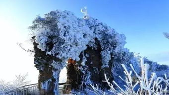 又到一年赏雪季,第二届光雾山冰雪节期待你的到来 